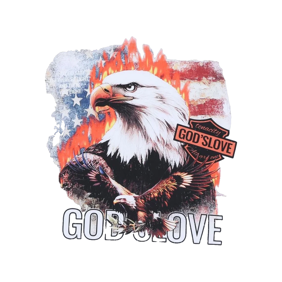The Americana Printed T-Shirt 17